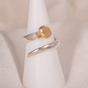 Sterling Silver Nail w/ Gold Nailhead